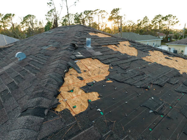 Best Wood Shake Roofing  in Lacy Lakeview, TX